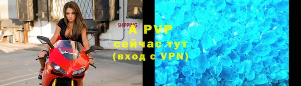 крисы Богородицк
