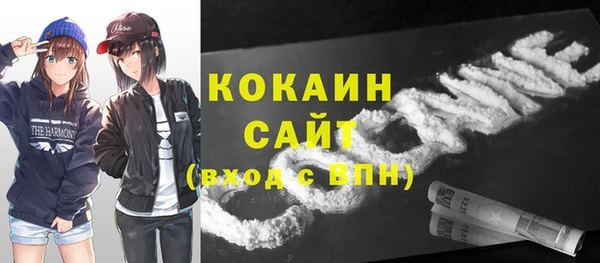 крисы Богородицк