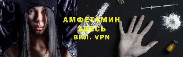крисы Богородицк