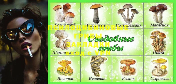 ГАЛЛЮЦИНОГЕННЫЕ ГРИБЫ Беломорск