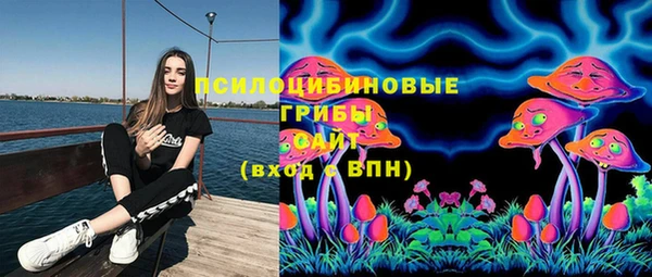 прущая мука Белокуриха