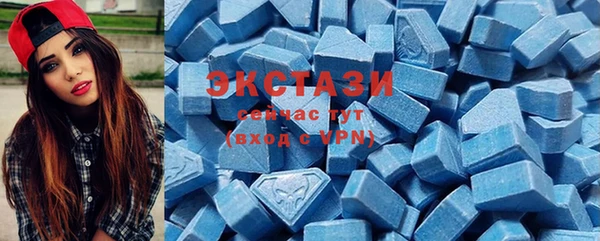 крисы Богородицк