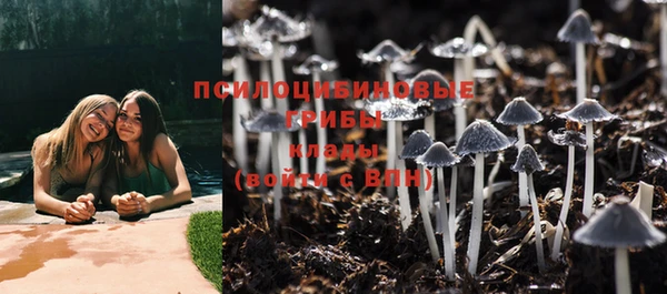 ГАЛЛЮЦИНОГЕННЫЕ ГРИБЫ Беломорск
