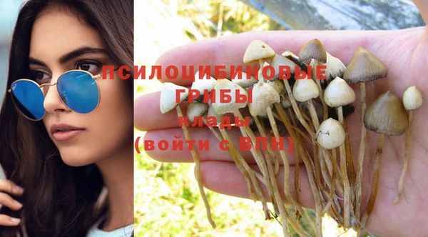 крисы Богородицк