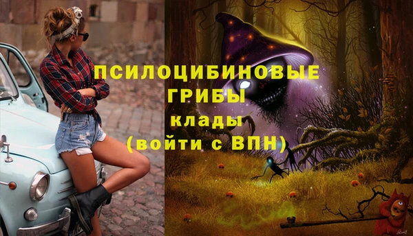 скорость Богданович